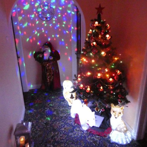 PHOTO-2020-11-20-23-14-24 (1) PHOTO-2020-11-20-23-14-24 (1)