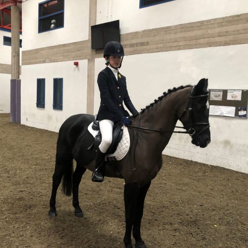 CAFRE online dressage_2 CAFRE online dressage_2