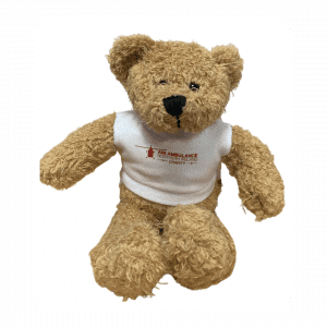AANI Bear