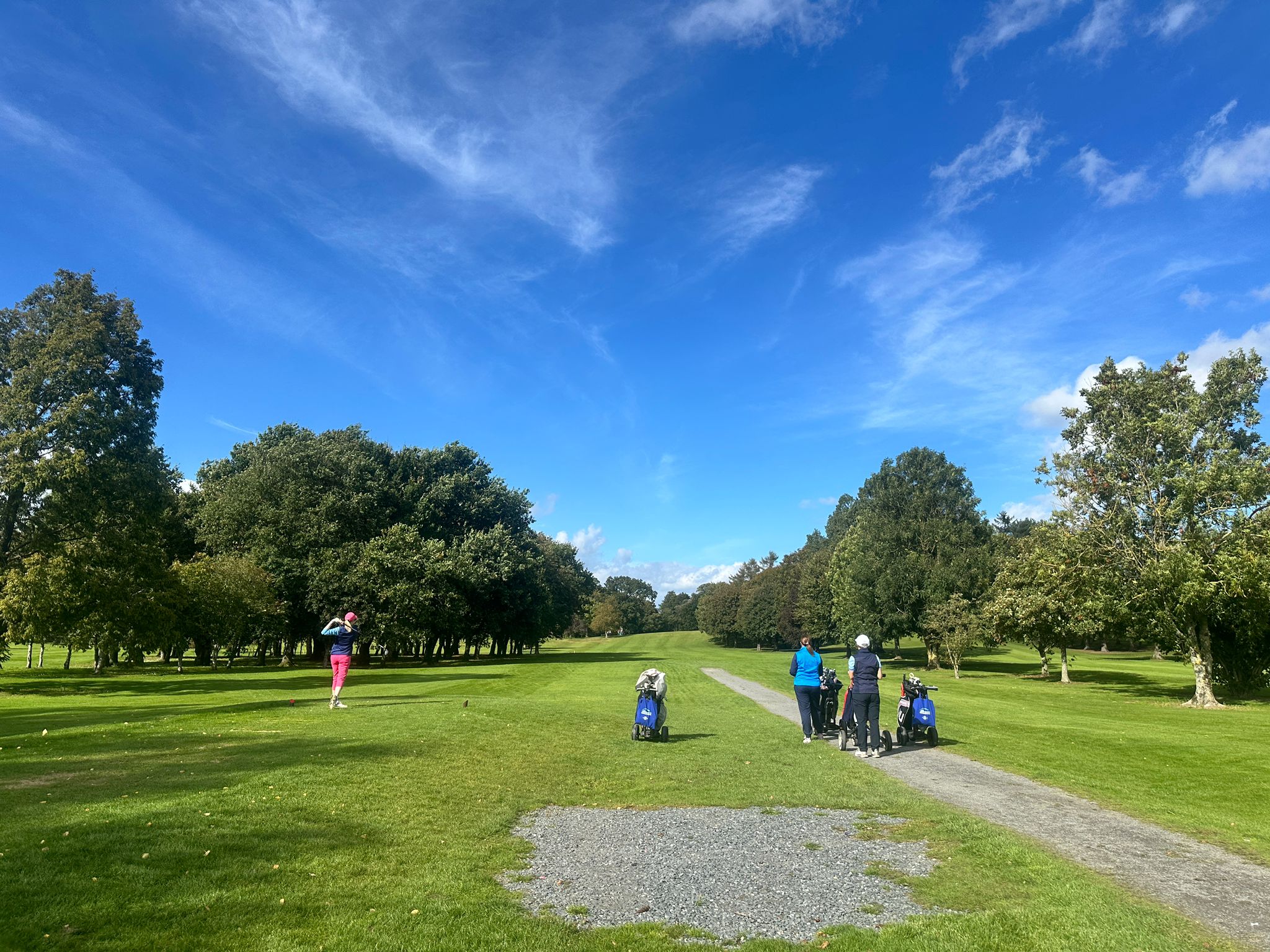 2d51e875-af8e-4718-9a87-54b975908af7